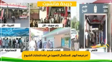 آخر فرصة اليوم.. لاستكمال التصويت في إعادة انتخابات الشيوخ 1